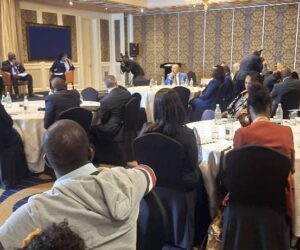 African, Global Diplomats Decry Failed Peace Efforts – Independent Newspaper Nigeria