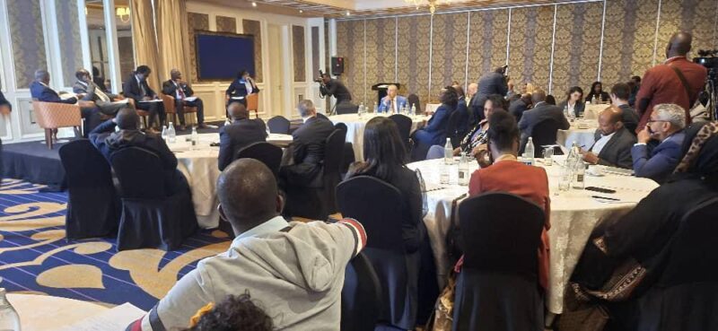 African, Global Diplomats Decry Failed Peace Efforts – Independent Newspaper Nigeria