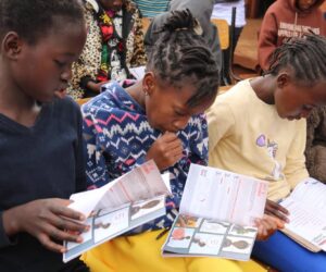 Nigerian secures $140,000 grant, takes PadHer initiative to Ghana