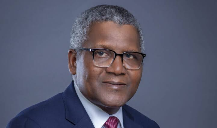 Why Ajaokuta Steel Company Will Never Work — Dangote