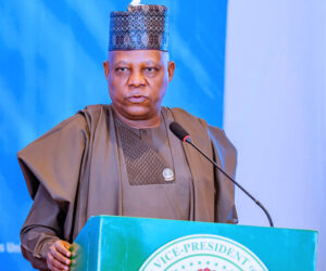 Shettima Hails Tinubu’s Leadership as UNICEF Pledges Support for Renewed Hope Agenda in Health and Education