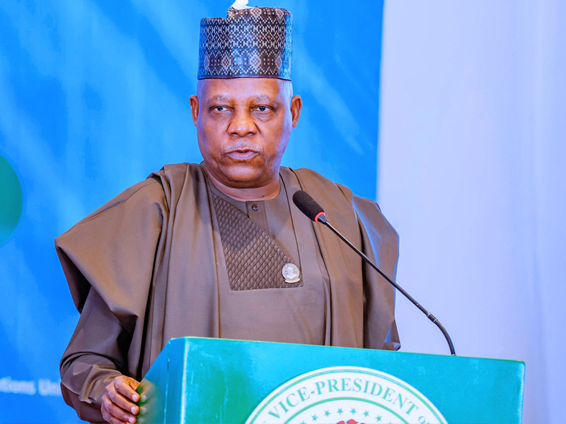 Shettima Hails Tinubu’s Leadership as UNICEF Pledges Support for Renewed Hope Agenda in Health and Education