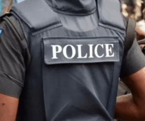 Global allies back Nigeria’s push for state police, LG autonomy