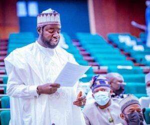 Governors can’t be trusted with state police – APC rep