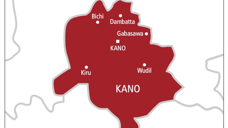 Kano govt deploys 100 forest guards to fight deforestation