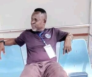Warri Wolves Faces Technical Bench Suspension