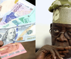 Top 10 weakest currencies in Africa (Sept 2025): Nigeria ranks 9th