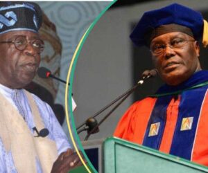 Tinubu Pays School Fees of Rescued Chibok Girls in Atiku’s University, Others, Breakdown Emerges