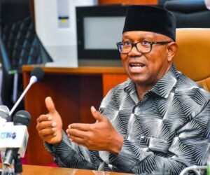 Wike Lacks Integrity to Judge Obi’s PDP Return – Peter Ameh