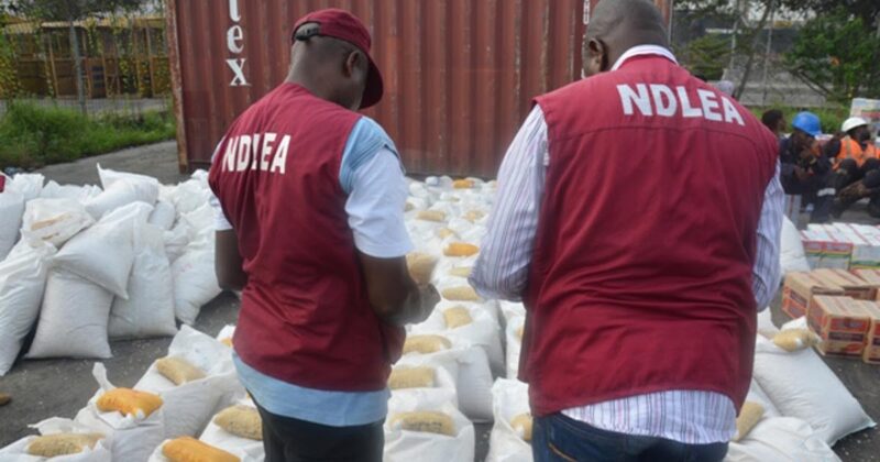 NDLEA Busts Global Drug Cartel, Seizes ₦6.4 Billion in Narcotics