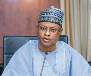 I Won’t Borrow or Incur Debt to Finance Projects — Governor Sani