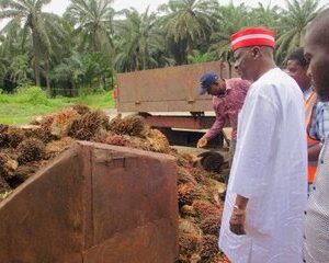Kwankwaso Tours Agro-Industrial Firms in Cross River to Boost Local Production