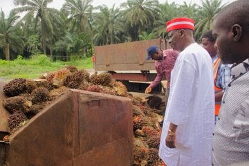 Kwankwaso Tours Agro-Industrial Firms in Cross River to Boost Local Production