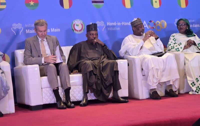 Shettima Champions Agricultural Transformation at UN FAO Investment Forum