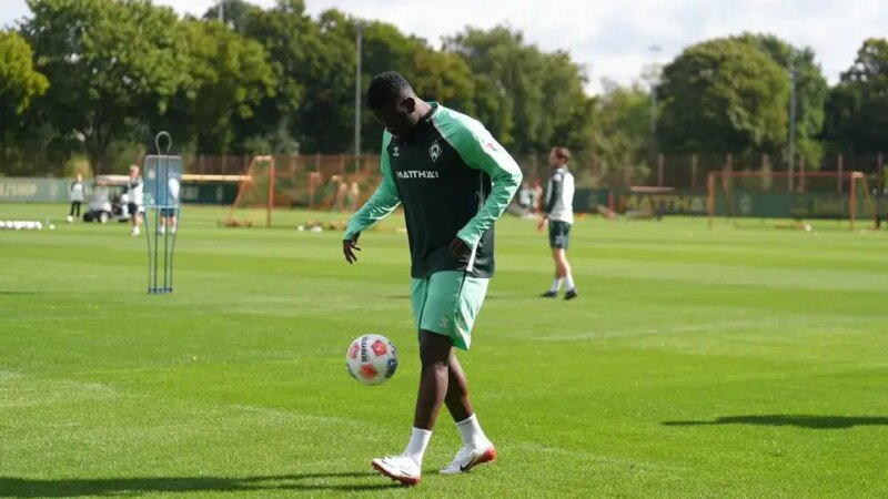 Boniface Earns Plaudits For Impressive Bremen Debut
