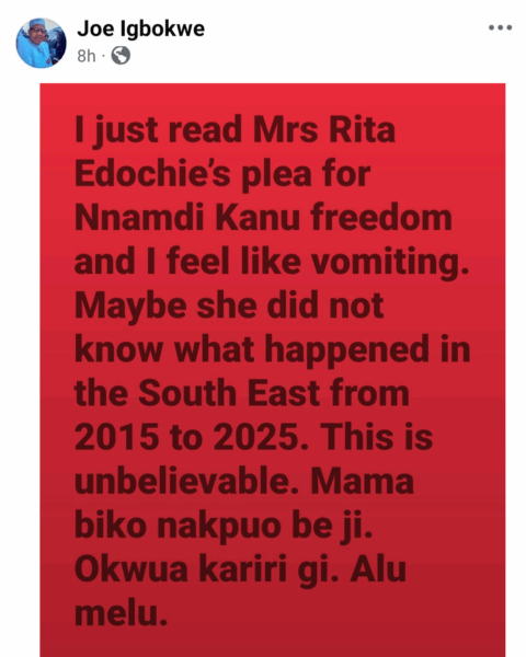 ‘I feel like vomiting’ Joe Igbokwe criticises plea for Nnamdi Kanu’s release