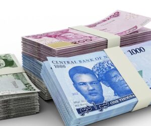 Naira Slips to Ninth Weakest Currency in Africa Amid Ongoing Economic Pressures