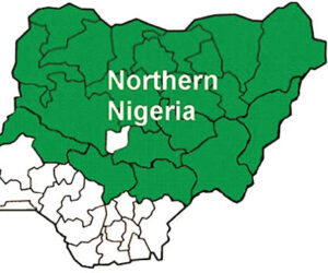 Worsening insecurity in Northern region unacceptable, Forum tells Tinubu – Daily Trust