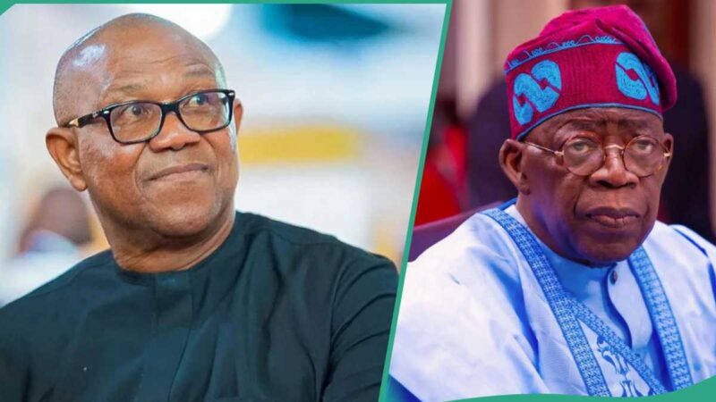 2027: Ex-Guber Candidate Mentions What Will Happen If Peter Picks ADC Presidential Ticket
