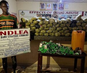 NDLEA Intercepts Tramadol Worth ₦3.9 Billion At Lagos Airport, Arrest Indian Businessman, Three Others