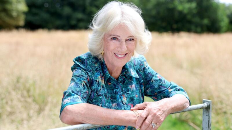 Queen Camilla fought off attacker with high heel after being groped on train as a teenager