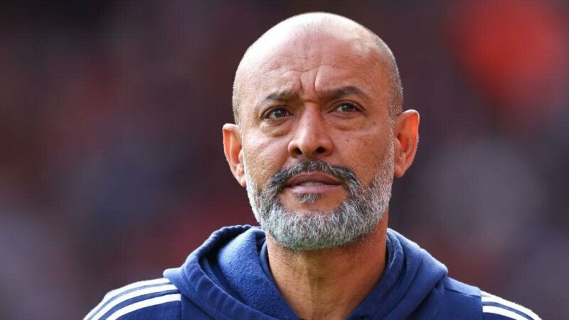 West Ham Set To Appoint Espirito Santos Head Coach After Sacking Potter