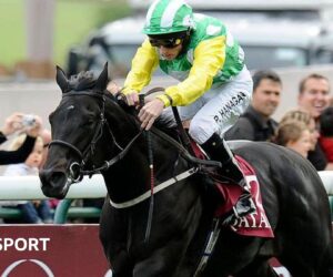 Wootton Bassett: Leading Coolmore sire dies aged 17