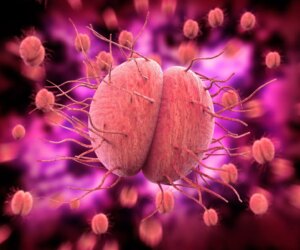 If you notice these 5 symptoms, It could be gonorrhea