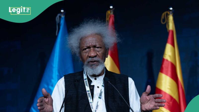 “How I Was Recently Abducted, Robbed Overseas”: Wole Soyinka Speaks