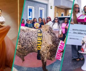 May Edochie Surprised on B’day, Gets Cow, N1m, Other Gifts, Clip Trends: “The Love is Real”