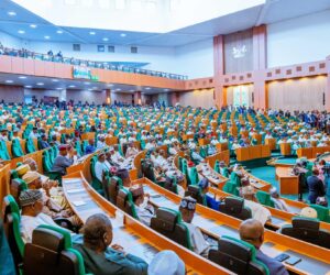Reps panel seeks empowerment of LGs, revenue formula review