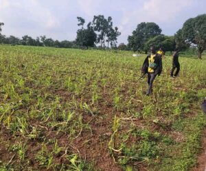 Benue traditional ruler demands withdrawal of soldiers over alleged complicity in herders’ attacks