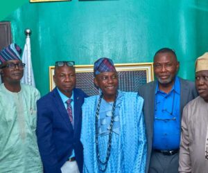 AI or Bust: Nigeria’s Environmental Survival Hinges on Tech Adoption