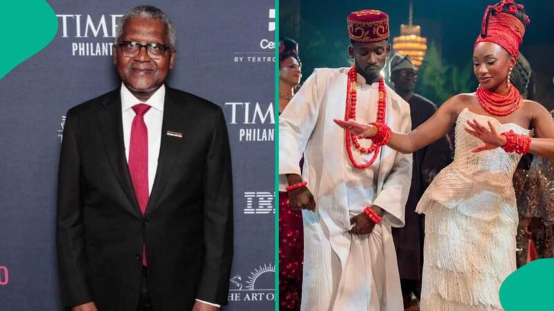 “In Few Yrs We’ll Take Back Seat, Call u Richest People on Earth”: Dangote’s Speech to Mr Eazi, Temi