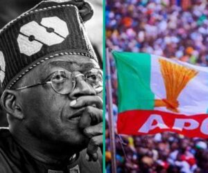 2027 Election: 5 Reasons Northern Stakeholders May Still Back Tinubu