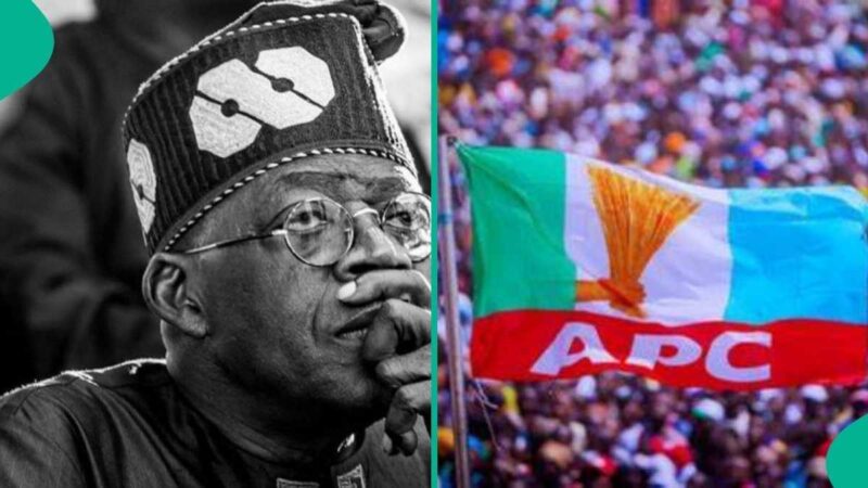 2027 Election: 5 Reasons Northern Stakeholders May Still Back Tinubu