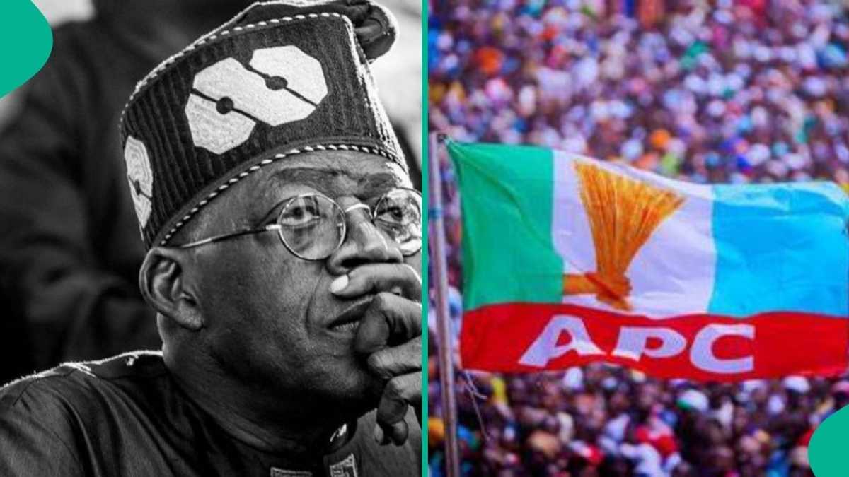2027 Election: 5 Reasons Northern Stakeholders May Still Back Tinubu