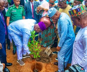 Gov Sule launches tree planting, clean environment campaign in Karu