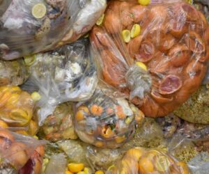 EU clamps down on food waste, fast fashion