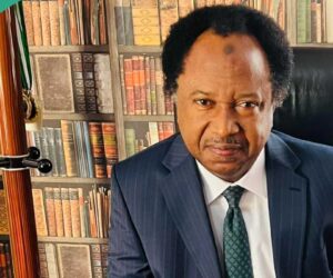 Shehu Sani Urges Tinubu’s Govt To Change LG ‘Chairman’ Title, Suggests New Title