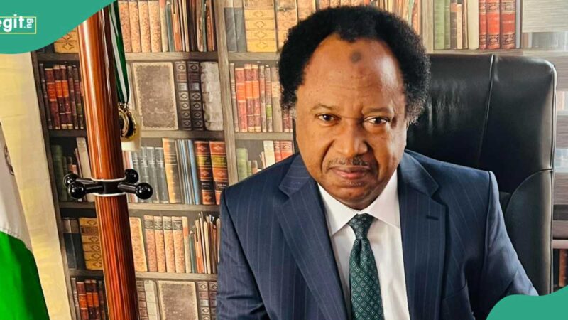 Shehu Sani Urges Tinubu’s Govt To Change LG ‘Chairman’ Title, Suggests New Title