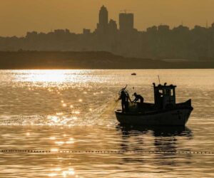 WTO fishing deal: the net results