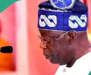 Tinubu Finally Assigns Portfolios to 5 Appointees, Full List Emerges