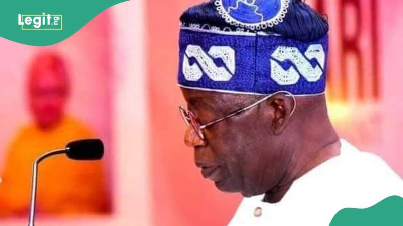 Tinubu Finally Assigns Portfolios to 5 Appointees, Full List Emerges