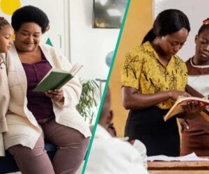 Types of teaching methods, their advantages and disadvantages