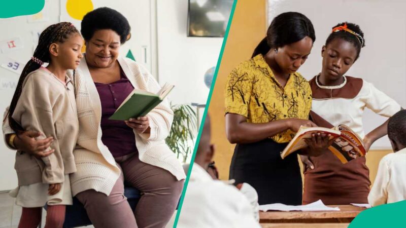 Types of teaching methods, their advantages and disadvantages