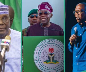 Tinubu vs Atiku or Obi: Ayodele Mentions Who Will Never Be President