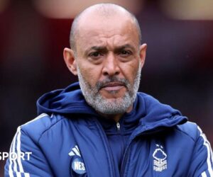 Black Premier League managers: ‘Football risks losing generation of black managers’