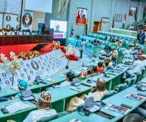 ECOWAS Parliament Must Deploy AI Tools For Legislative Efficiency — Expert
