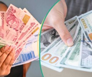 Naira Hits Highest Level in Months at N1,497 Per Dollar, Black Market Rates Appreciate